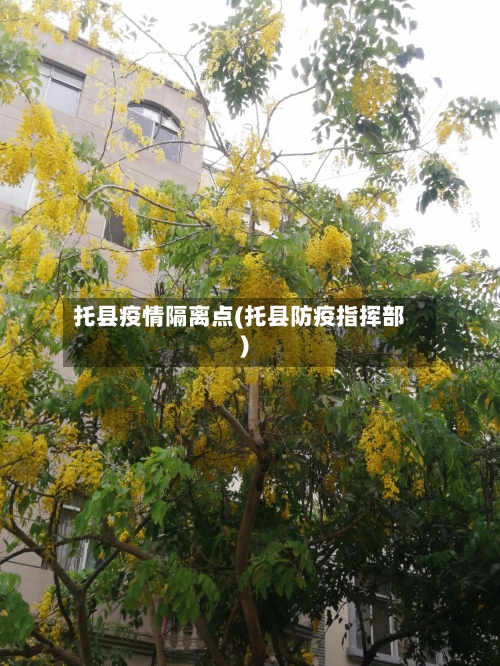 托县疫情隔离点(托县防疫指挥部)-第2张图片