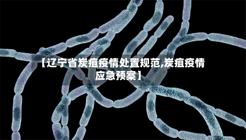 【辽宁省炭疽疫情处置规范,炭疽疫情应急预案】-第1张图片