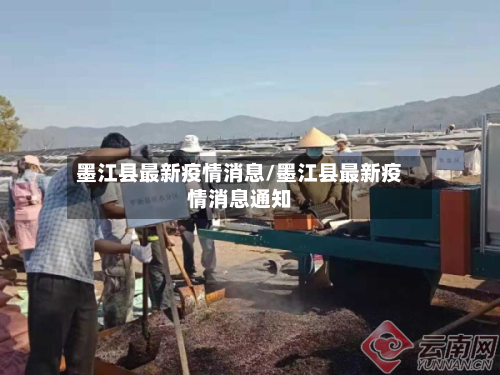 墨江县最新疫情消息/墨江县最新疫情消息通知-第2张图片