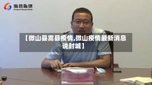 【微山县嵩县疫情,微山疫情最新消息说封城】-第3张图片