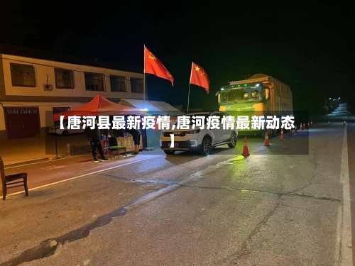 【唐河县最新疫情,唐河疫情最新动态】-第3张图片